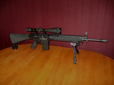 dpms lr 308. rifle (DPMS LR-308C) and I